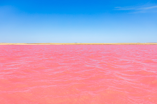 Landscape scene of a bright pink salt lake in the South Australian outback