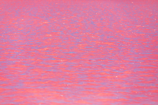 Water surface of bright pink salt lake in the South Australian outback