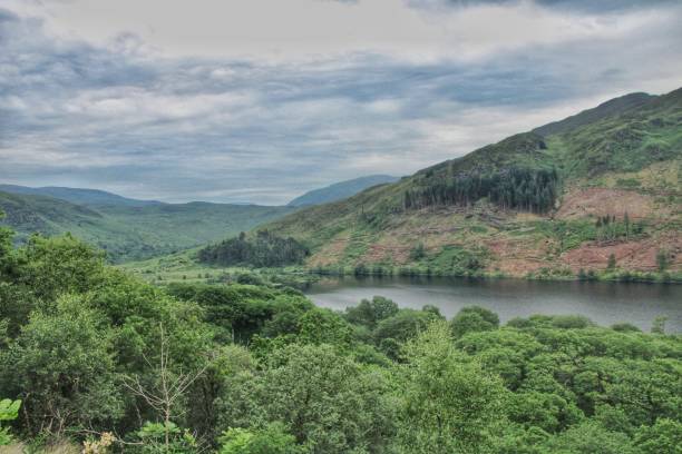 glen trool dumfries y galloway - glen trool fotografías e imágenes de stock