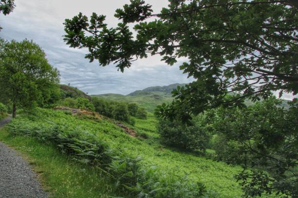 istock Glen Trool Dumfries and Galloway 1499538754