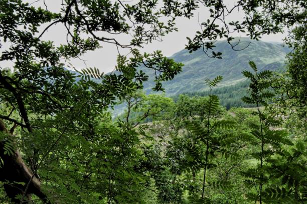 glen trool dumfries y galloway - glen trool fotografías e imágenes de stock