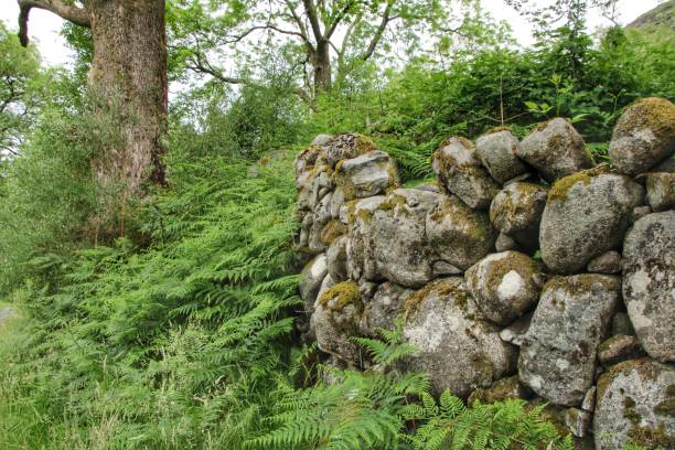 istock Glen Trool Dumfries and Galloway 1499539632