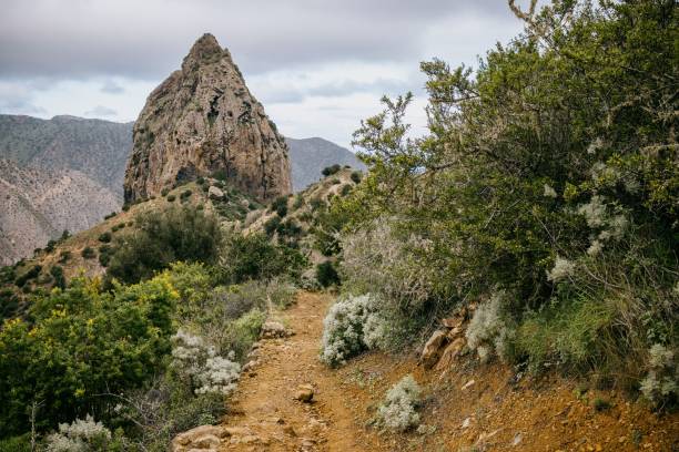 istock Scenic pathway surrounded by lush green bushes, with a rocky outcropping providing a backdrop 1499541879