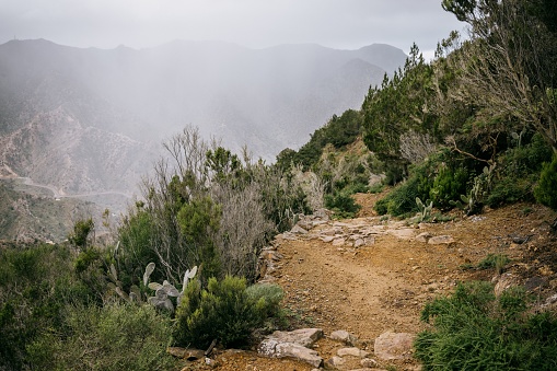 A scenic mountain trail with an overcast sky, foliage, and rocks in the foreground, La Gomera