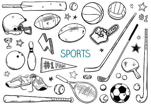 vector illustration of various sports equipment