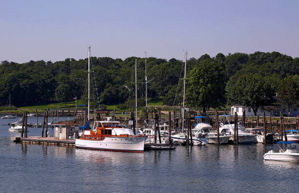 istock Sailboats in Harbor 1499544758