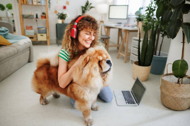 istock Enjoying day at home 1499547999