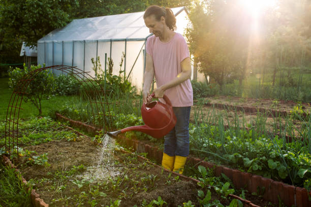 istock Woman working on organic farm 1499551474