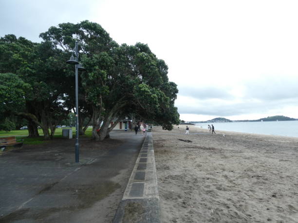 istock Mission Bay beach, Auckland 1499556551