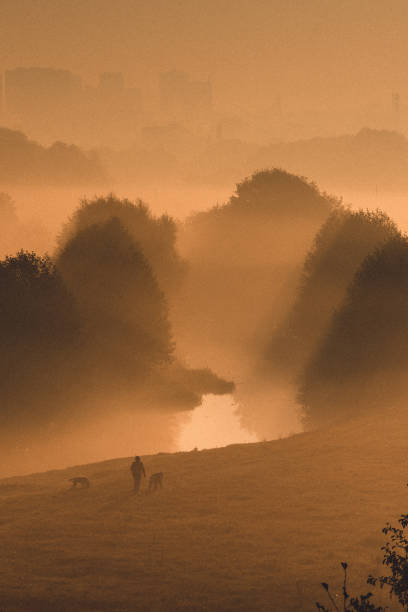 istock Foggy summer morning River landscape 1499562012