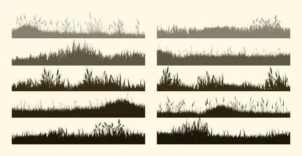 Vector illustration of Meadow silhouettes with grass, plants on plain. Panoramic summer lawn landscape with herbs, various weeds. Herbal border, frame element. Brown horizontal banners. Vector illustration