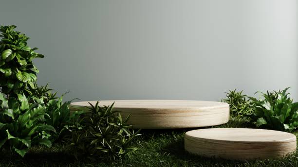 istock Wooden podium in tropical forest for product presentation. 1499570405