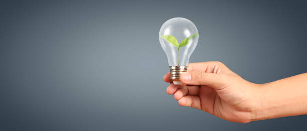 istock Humans hold light bulbs in hand innovative technology 1499573348