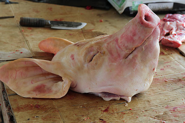 豚のヘッド - schweinekopf ストックフォトと画像