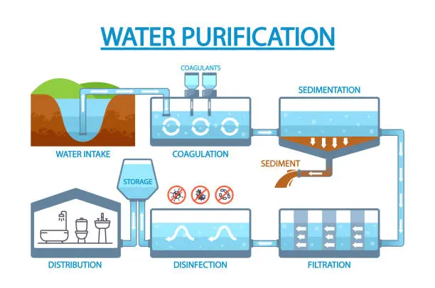 Vector illustration of Informative Infographics Showcasing Process Of Water Purification. Water Intake, Coagulation, Sedimentation, Filtration