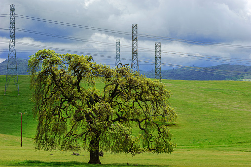 Electrical pylons, power lines, green hills and oak trees under a cloudy sky,

Taken in Northern California, USA