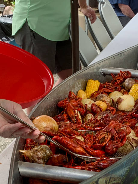 gotowane raki lub langusty - crayfish new orleans cajun food louisiana zdjęcia i obrazy z banku zdjęć