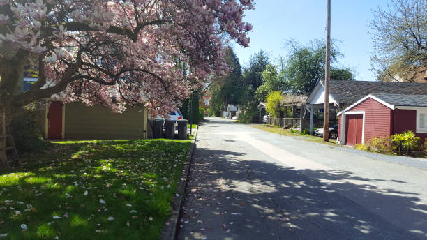 istock It's More Than Just A Back Alley At Springtime 1499585925