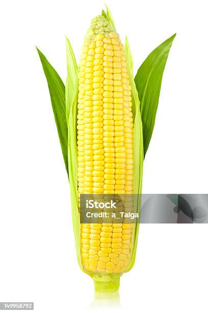 Ухо Кукуруза Вертикальныйизолированные На Белом Фоне — стоковые фотографии и другие картинки Кукуруза