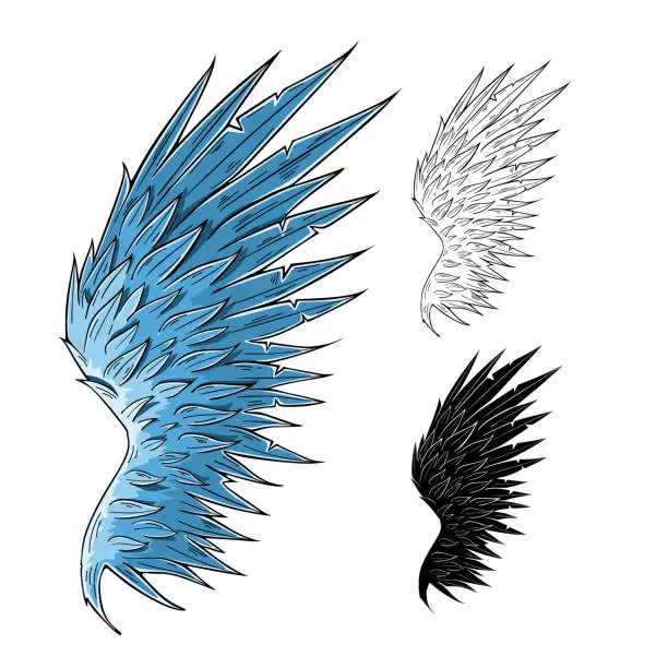 Vector illustration of Angel Wing. Hand drawn detailed vector illustration