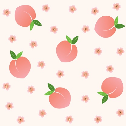 Peach or apricot seamless pattern. Hand drawn fruit and sliced pieces. Summer tropical endless background. Vector fruit design for label, fabric, packaging.