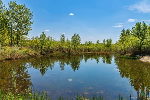 istock Summer Park Reflections In Cochrane 1499622992