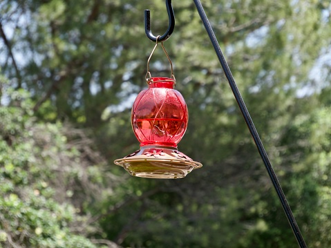 A red hummingbird feeder taken under a warm California summer sunny day.  Bright lush green trees decorate the background.