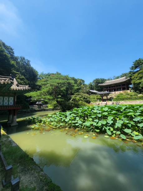 istock Secret Garden Changdeokgung Palace 1499625183
