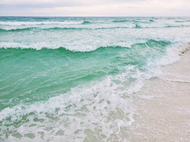 istock Pensacola Beach, Florida - Fort Pickens area 1499627026