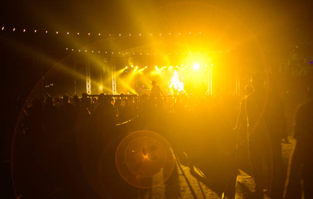 istock Silhouetted backlit Crowd at the night musical show. 1499636677