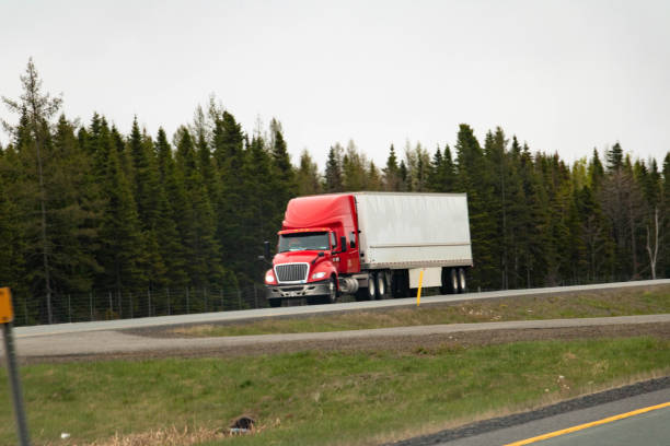 istock transport semi  truck carrying cargo 1499642944