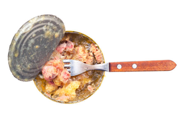istock Stew pork meat in opened metallic can and fork. 1499653896