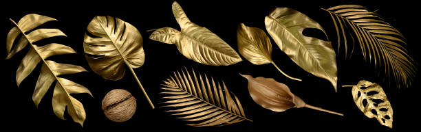 istock Tropical leaves gold and black, can be used as background(Monstera,palm,coconut)fern,clipping path 1499654589