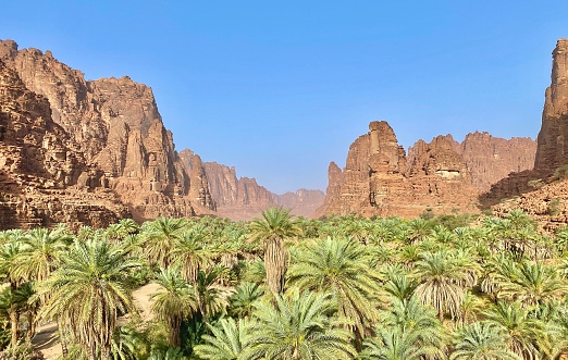 Impresionante vista del oasis de Wadi Al Disah en la provincia de Tabuk de Arabia Saudita. photo