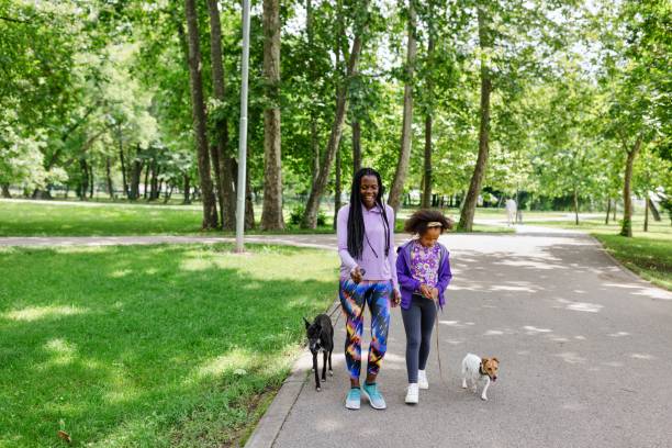 istock Mother and daughter walking with dogs 1499659356
