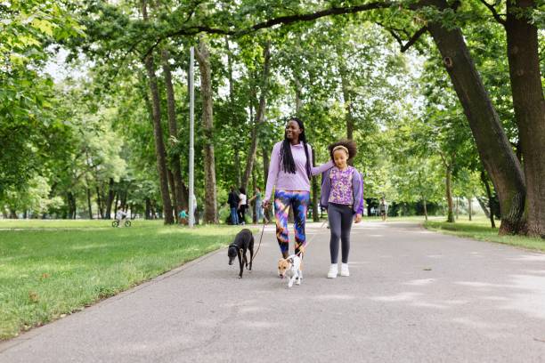 istock Cute family enjoying in the park 1499659362