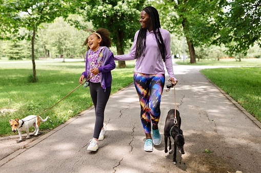 Healthy mother and daughter having fun while walking the dogs