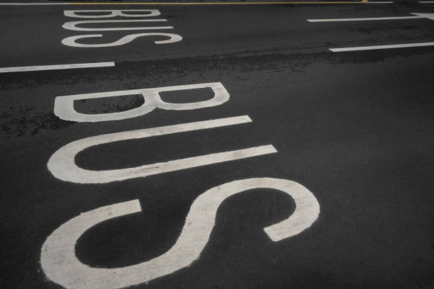Bus lanes within the station