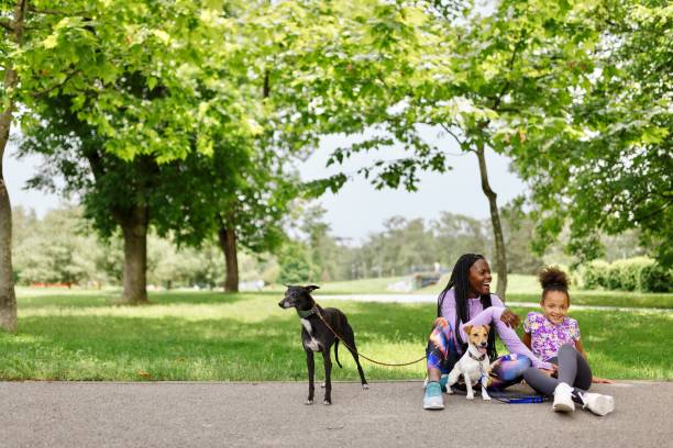 istock Mother and daughter relaxing with their dogs 1499660593