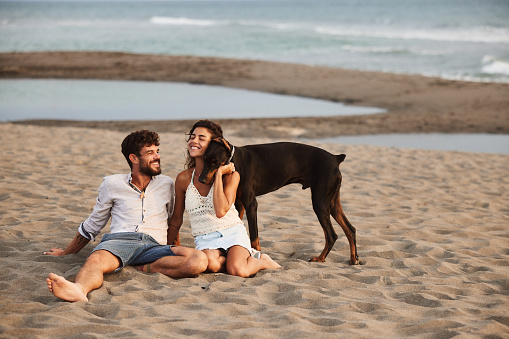 Carefree couple enjoying while relaxing with their dog during summer day on the beach. Copy space.