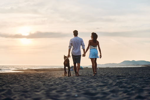 Rear view of carefree couple holding hands while walking with their dog during summer sunset on the beach. Copy space.