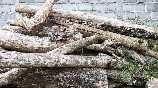 A messy pile of logs against a brick wall in the background