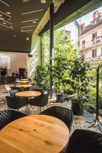High angle shot of a fashionable cafe with  potted plants and chic furniture. Awarded design of cobblestone flooring. Daylight coming through the  large glass wall. Vertical image. Coffee plant in the back of a coffee shop.