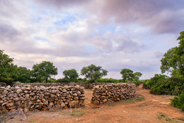 istock Footpath in the Parco della Giara - Sardinia, Italy 1499677268