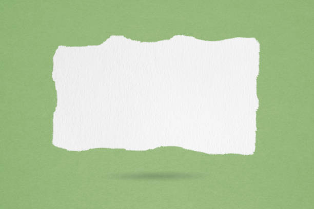 istock For conceptual image about communication and social media, customer feedback, Blank white torn grunge paper on rough green paper texture 1499678364