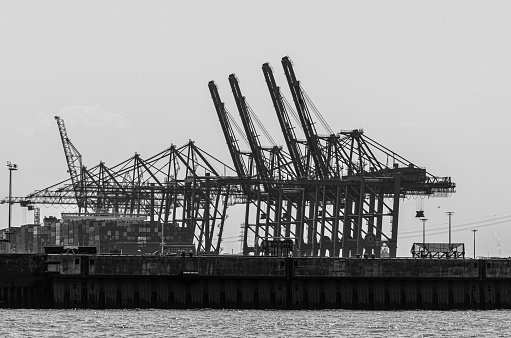 Row of container cranes against clear sky, Hamburg harbor