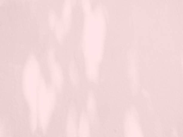 istock Shadow Pink Background,Overlay Effect Leaves on Pattern Wall Floor,Abstract Floral Summer Texture Design Banner Nature,blur Light Plant Autumn on Cement Concrete Space Art Backdrop 1499681320