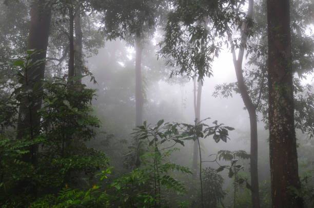 istock Wildscapes and Habitats across India - Set 1 1499682948