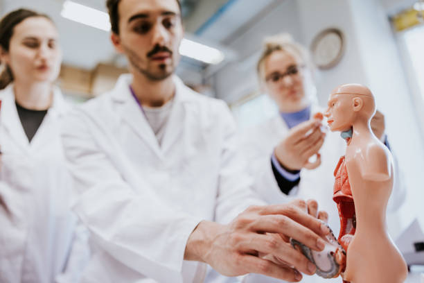 istock Group of Latin scientists working together with 3D anatomical model 1499683074