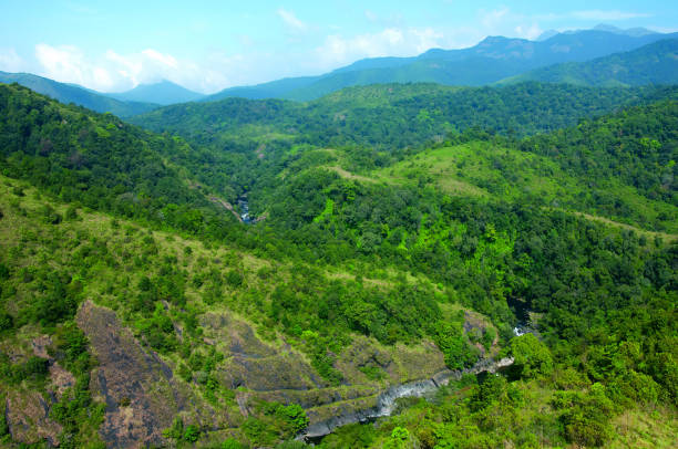 istock Wilderness, Habitats and Wild Landscapes - India Set 4 1499686588